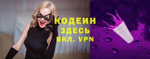 spice Пересвет