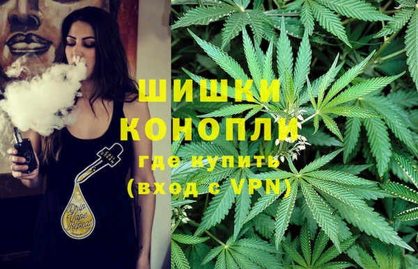 спиды Арсеньев