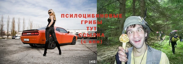 spice Пересвет