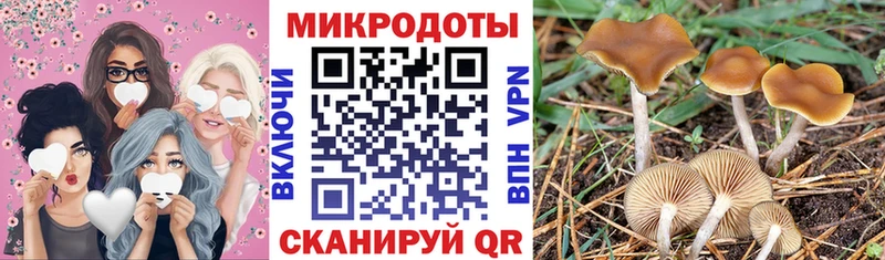 kraken tor  Ахтубинск  Галлюциногенные грибы прущие грибы  купить наркотик 